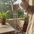 Hanging Wind Chime for Positive Energy for Home and Balcony Decor with Melody Sound (5 Pipes) (20 Inches Approx)