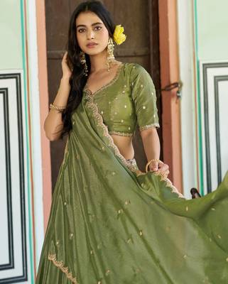 Royal Chinon Embroidered Lehenga with Sequins Detailing 2
