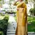 Yellow color handloom raw silk weaving pallu saree