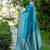 Sky blue color handloom raw silk weaving pallu saree