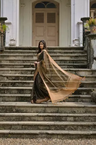 Coffee color kalyani silk blend zari weaving butti & border saree