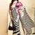 Multicolor original japan devsena satin saree japan satin digital print blouse