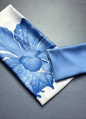 Aqua blue original japan satin saree with digital print blouse 3