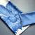 Aqua blue original japan devsena satin saree japan satin digital print blouse