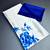 White original japan devsena satin saree japan satin digital print blouse