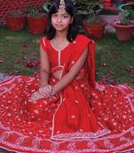 Red embroidered chanderi lehenga set