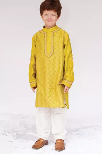 Green embroidered pure chanderi kurta set