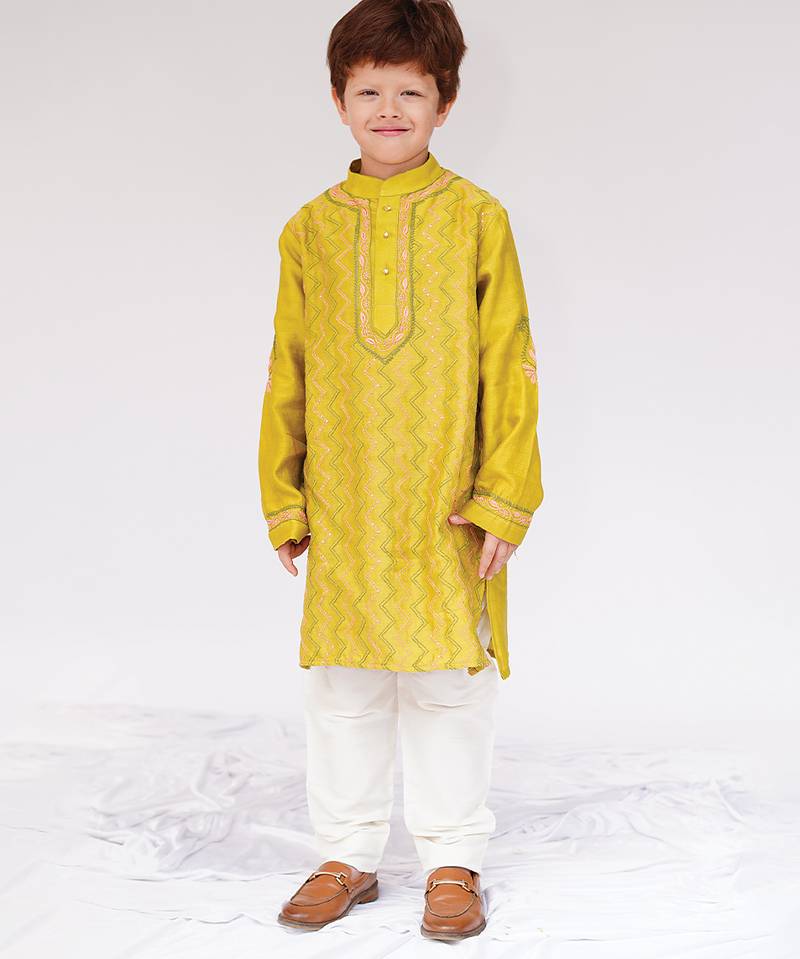 Green embroidered pure chanderi kurta set