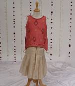 Red embroidered pure chanderi sharara set