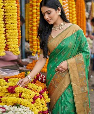 Green pochampally silk woven saree with blouse 2
