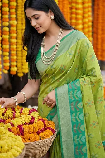 Parrot pochampally silk woven saree with blouse