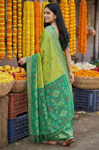 Parrot pochampally silk woven saree with blouse