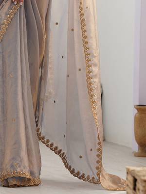 Women fandy silk blend chikoo zari lace work saree 3