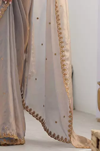 Women fandy silk chikoo zari lace work saree