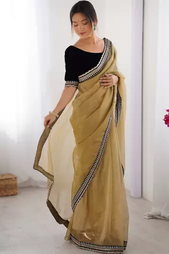 Women net chikoo zari lace work saree