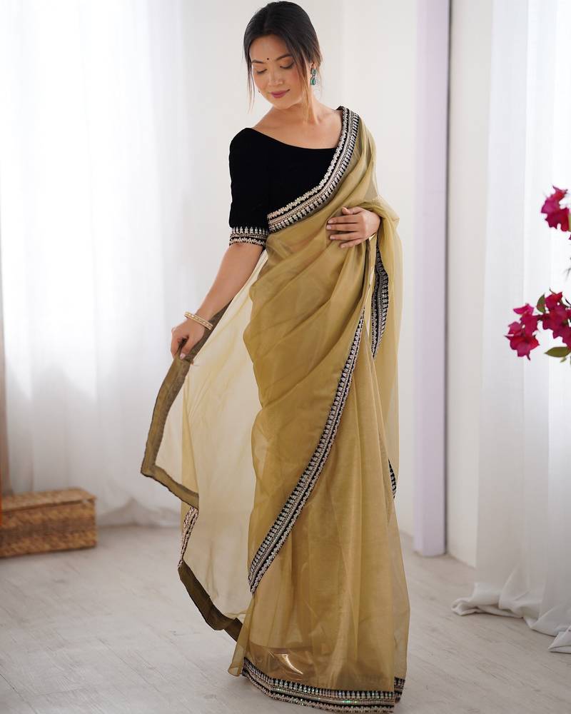 Women net chikoo zari lace work saree