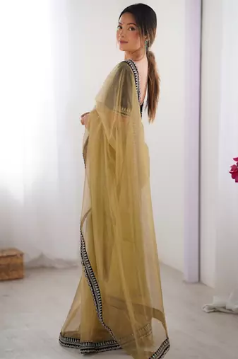 Women net chikoo zari lace work saree