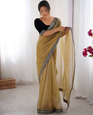 Women net chikoo zari lace work saree 3