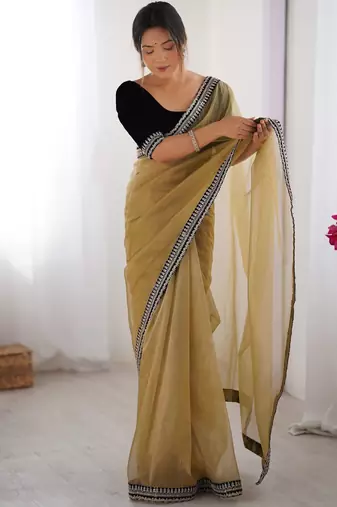 Women net chikoo zari lace work saree