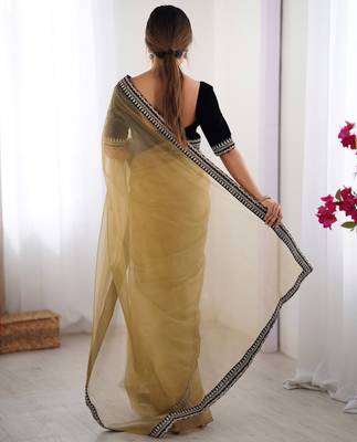 Women net chikoo zari lace work saree 4