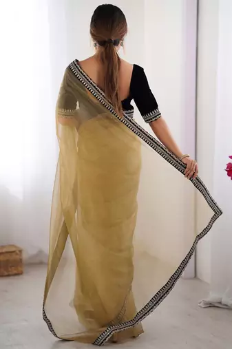 Women net chikoo zari lace work saree