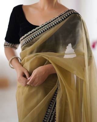Women net chikoo zari lace work saree 5