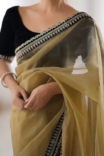 Women net chikoo zari lace work saree