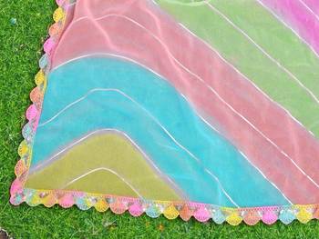 Women gorgette multi color zari lace work saree 3