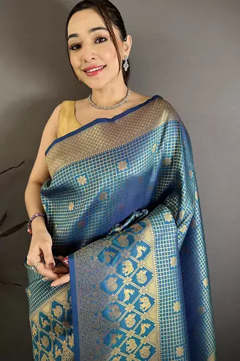 Women atom blue checked & floral motifs banarasi soft silk saree