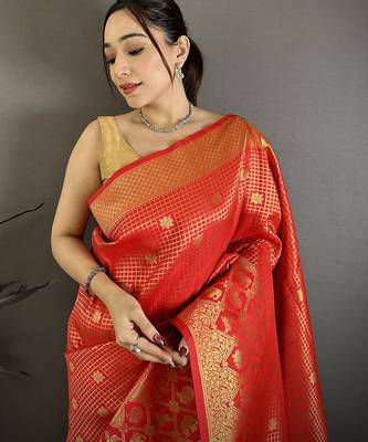 Women red  checked & floral motifs banarasi soft silk blend saree 3