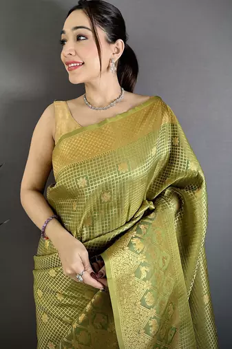 Women olive checked & floral motifs banarasi soft silk saree