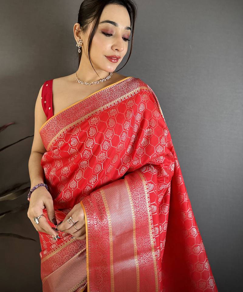 Women red  delicate patterns banarasi silk saree