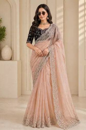 Wedding wear organza silk saree with embroidered velvet blouse