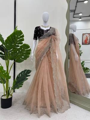 Wedding wear organza silk blend saree with embroidered velvet blouse 2