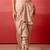 Champagne gold pre-draped skirt with handwork blouse & organza shrug
