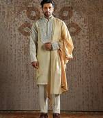Gold embroidered tissue kurta set