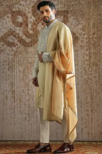 Gold embroidered tissue kurta set