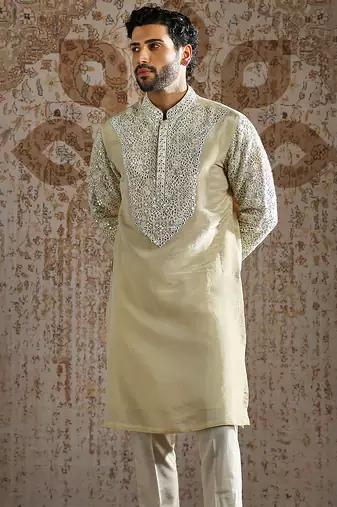 Gold embroidered tissue kurta set