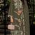 Green embroidered georgette semi-stitched pakistani salwar suit