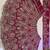 MAROON BUTTERFLY NET EMBROIDERY SEMI STICHED  LEHENGA WHIT BLOUSE