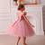 Pink embellished net party wear fit & flare girls dress