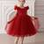 Red embellished net party wear fit & flare girls dress