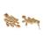 Aheli traditional ethnic necklace and earrings set for women for weddings and special occasions