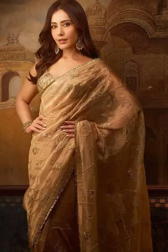 Coffee jari woven blouse with embroidred saree