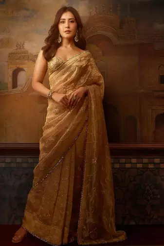 Coffee jari woven blouse with embroidred saree