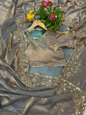 Beige embellished saree with embellished blouse 2