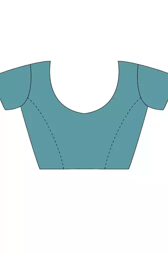 Blue embroidered blouse with embroidered saree