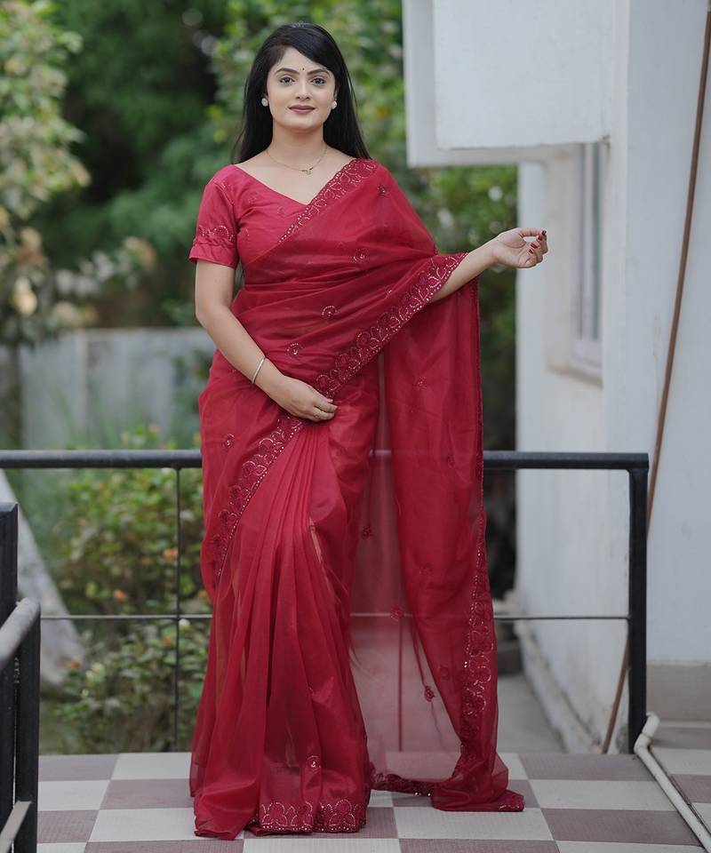 Red embroidered blouse with embroidered saree