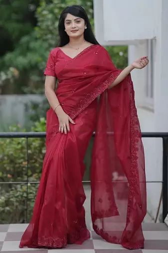 Red embroidered blouse with embroidered saree