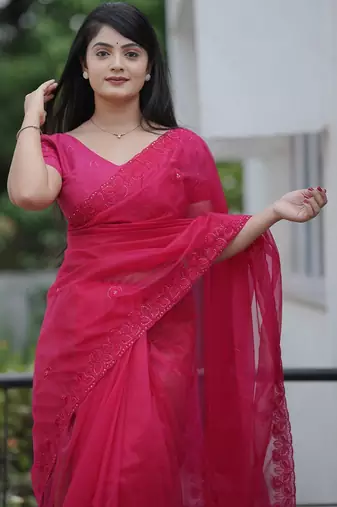 Pink embroidered blouse with embroidered saree